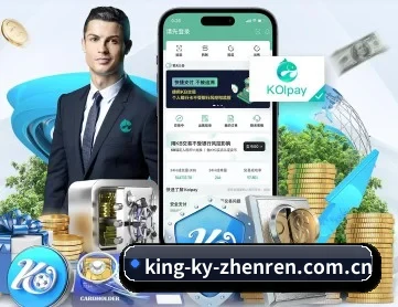 开云真人 APP 深度功能
