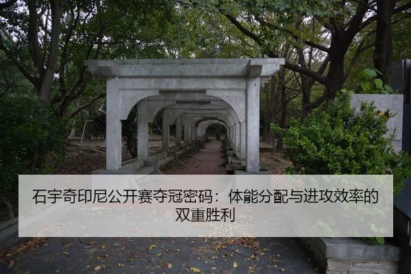 shi-yu-qi-yin-ni-gong-kai-sai-duo-guan-mi-ma-ti-neng-fen-pei-yu-jin-gong-xiao-lv-de-shuang-chong-sheng-li-1-517.jpg