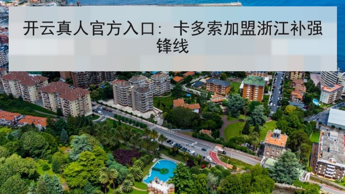 开云真人官方入口: 卡多索加盟浙江补强锋线