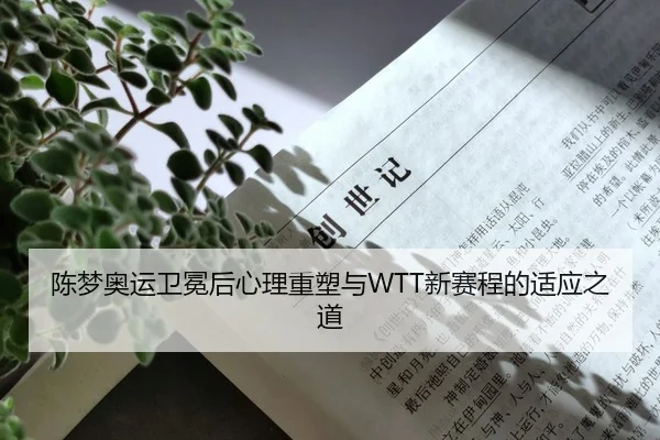 陈梦奥运卫冕后心理重塑与WTT新赛程的适应之道