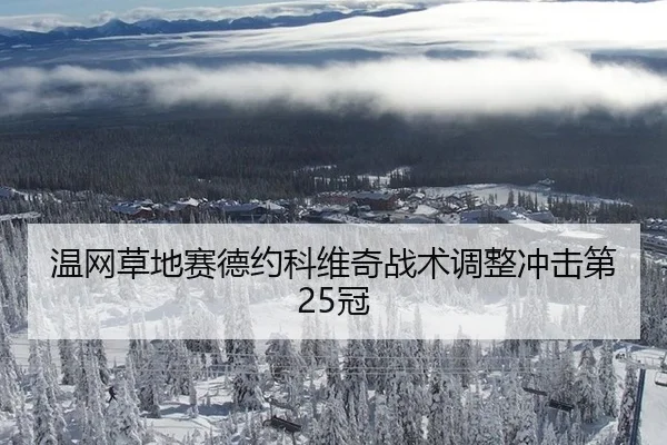 温网草地赛德约科维奇战术调整冲击第25冠