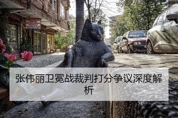 张伟丽卫冕战裁判打分争议深度解析