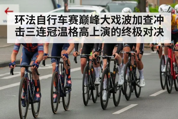 环法自行车赛巅峰大戏波加查冲击三连冠温格高上演的终极对决