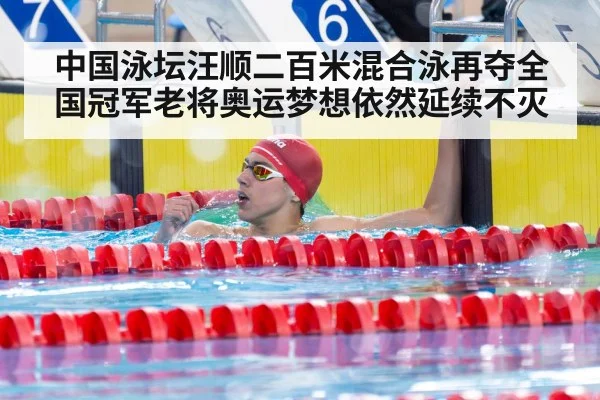 中国泳坛汪顺二百米混合泳再夺全国冠军老将奥运梦想依然延续不灭