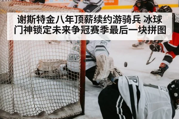 hockey goalie save